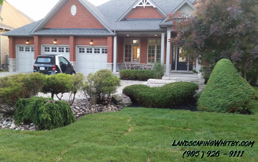 Front Yard Sodding